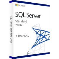 Microsoft SQL Server 2025 Standard - 1 User CAL